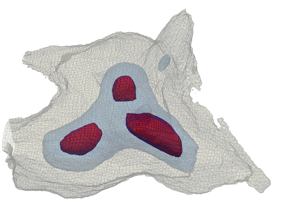 Figure from Dark matter haloes: a multistream view